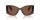 MICHAEL KORS COSTA BLANCA 0MK2244U 402173 53 Napszemüveg
