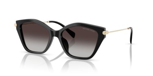 MICHAEL KORS CATSKILLS 0MK2246U 30058G 54 Napszemüveg