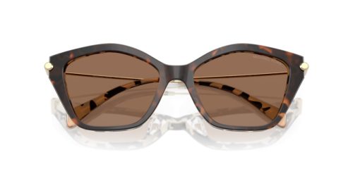 MICHAEL KORS CATSKILLS 0MK2246U 395173 54 Napszemüveg