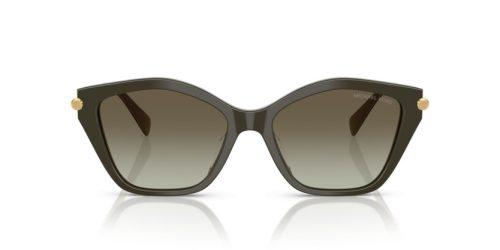 MICHAEL KORS CATSKILLS 0MK2246U 40193M 54 Napszemüveg