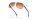 OAKLEY FEEDBACK 0OO4079 407901 59 Napszemüveg
