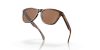 OAKLEY FROGSKINS 0OO9013 9013C5 55 Napszemüveg