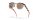 OAKLEY HSTN 0OO9242 924206 52 Napszemüveg