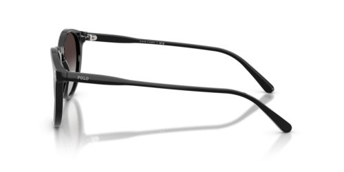 POLO  0PH4110 50018G 50 Napszemüveg