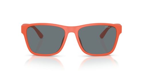 POLO  0PH4229U 54606G 56 Napszemüveg