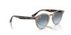 RAY-BAN  0RB2180 6788V1 49 Napszemüveg