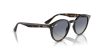 RAY-BAN  0RB2180 710/4L 49 Napszemüveg
