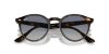 RAY-BAN  0RB2180 710/4L 51 Napszemüveg