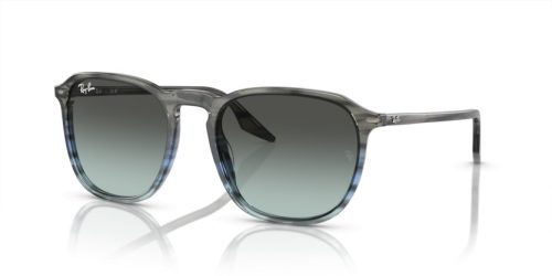 RAY-BAN  0RB2203 1391GK 55 Napszemüveg