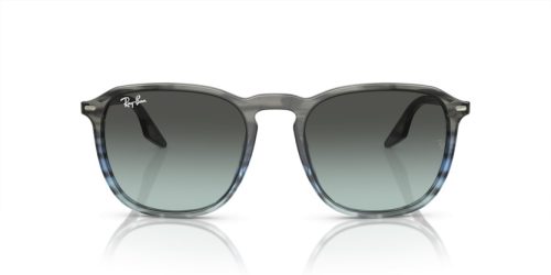 RAY-BAN  0RB2203 1391GK 55 Napszemüveg