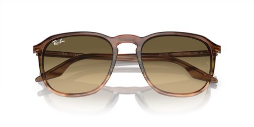 RAY-BAN  0RB2203 13920A 52 Napszemüveg