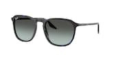 RAY-BAN  0RB2203 14290A 55 Napszemüveg