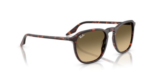 RAY-BAN  0RB2203 14290A 55 Napszemüveg