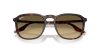 RAY-BAN  0RB2203 14290A 55 Napszemüveg