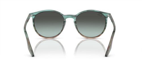 RAY-BAN  0RB2204 1394GK 54 Napszemüveg
