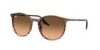 RAY-BAN  0RB2204 13953B 51 Napszemüveg