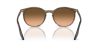 RAY-BAN  0RB2204 13953B 51 Napszemüveg