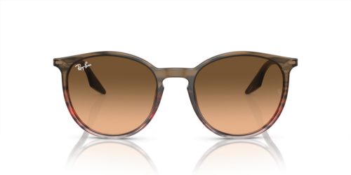 RAY-BAN  0RB2204 13953B 51 Napszemüveg