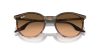 RAY-BAN  0RB2204 13953B 51 Napszemüveg
