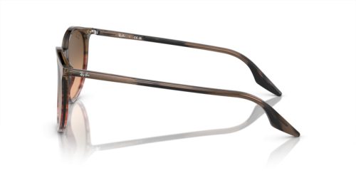 RAY-BAN  0RB2204 13953B 54 Napszemüveg