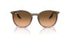 RAY-BAN  0RB2204 13953B 54 Napszemüveg