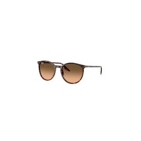 RAY-BAN  0RB2204 14293B 51 Napszemüveg