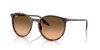 RAY-BAN  0RB2204 14293B 51 Napszemüveg