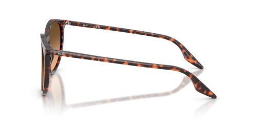 RAY-BAN  0RB2204 14293B 51 Napszemüveg