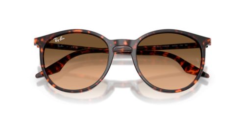 RAY-BAN  0RB2204 14293B 51 Napszemüveg