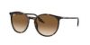 RAY-BAN  0RB2204 14293B 54 Napszemüveg
