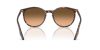 RAY-BAN  0RB2204 14293B 54 Napszemüveg