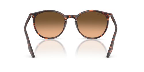 RAY-BAN  0RB2204 14293B 54 Napszemüveg