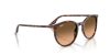 RAY-BAN  0RB2204 14293B 54 Napszemüveg