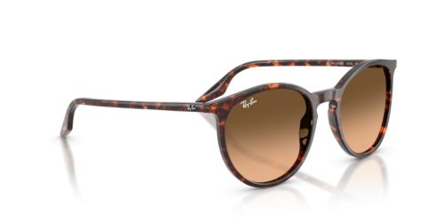 RAY-BAN  0RB2204 14293B 54 Napszemüveg