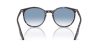 RAY-BAN  0RB2204 14303F 51 Napszemüveg