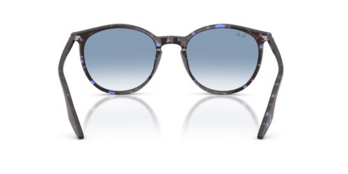 RAY-BAN  0RB2204 14303F 54 Napszemüveg