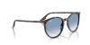 RAY-BAN  0RB2204 14303F 54 Napszemüveg