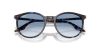 RAY-BAN  0RB2204 14303F 54 Napszemüveg