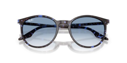 RAY-BAN  0RB2204 14303F 54 Napszemüveg