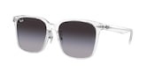 RAY-BAN  0RB2206D 64478G 57 Napszemüveg