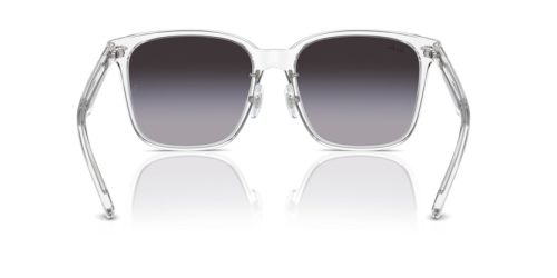 RAY-BAN  0RB2206D 64478G 57 Napszemüveg