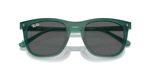 RAY-BAN  0RB2210 6615B1 53 Napszemüveg