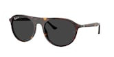 RAY-BAN  0RB2215 14293B 56 Napszemüveg