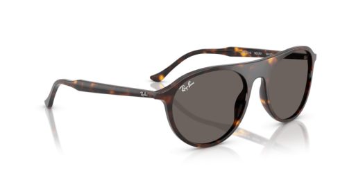 RAY-BAN  0RB2215 902/B1 59 Napszemüveg