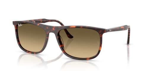 RAY-BAN  0RB2216 14290A 58 Napszemüveg