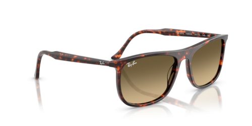 RAY-BAN  0RB2216 14290A 61 Napszemüveg