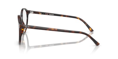 RAY-BAN BERNARD 0RB2230 902/GH 53 Napszemüveg