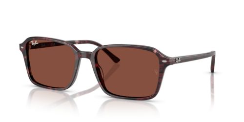 RAY-BAN RAIMOND 0RB2231 1416C5 58 Napszemüveg