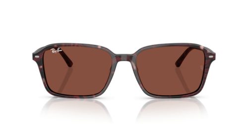 RAY-BAN RAIMOND 0RB2231 1416C5 58 Napszemüveg