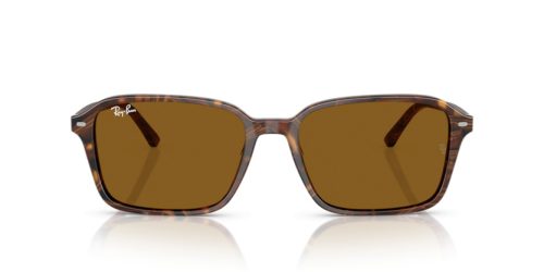 RAY-BAN RAIMOND 0RB2231 141833 58 Napszemüveg